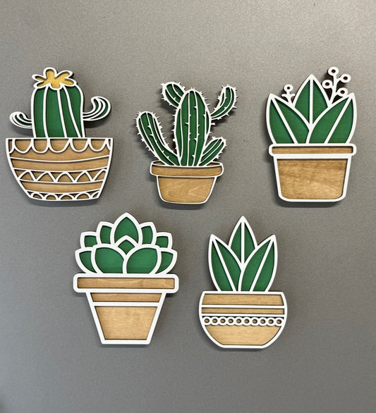 5 piece Succulent  Magnet Set